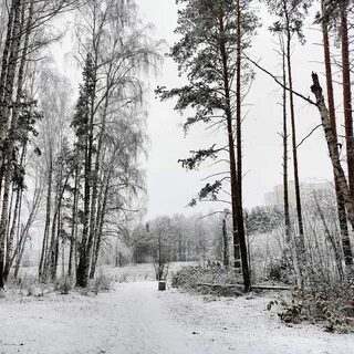 Тропа 73