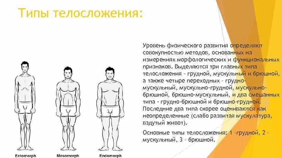 Не мужчина как определить признаки. Астеник (эктоморф). Нормостеник мезоморф. Конституция телосложения человека. Типы мужского телосложения и фигуры.