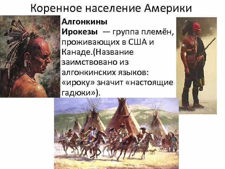 Алгонкины индейцы. Племя алгонкинов. Ирокезы и Америке алгонкины. Как называют коренных жителей Америки.