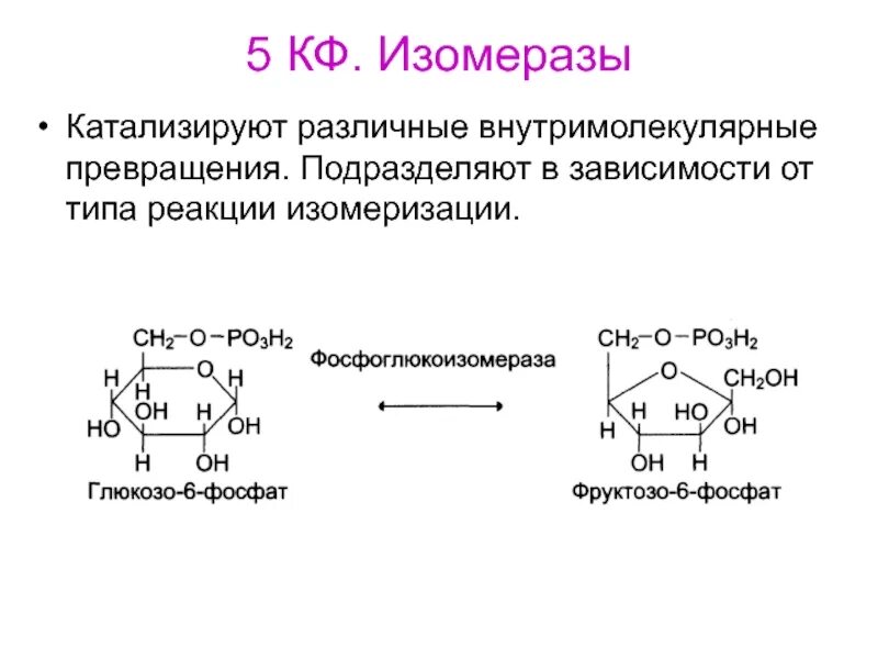 Типы реакций катализируемых ферментами. Изомеразы ферменты. Изомеразы примеры реакций. Изомеразы Тип катализируемой реакции. Изомеразы биохимия.