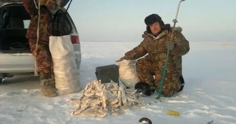 Чаны последние новости