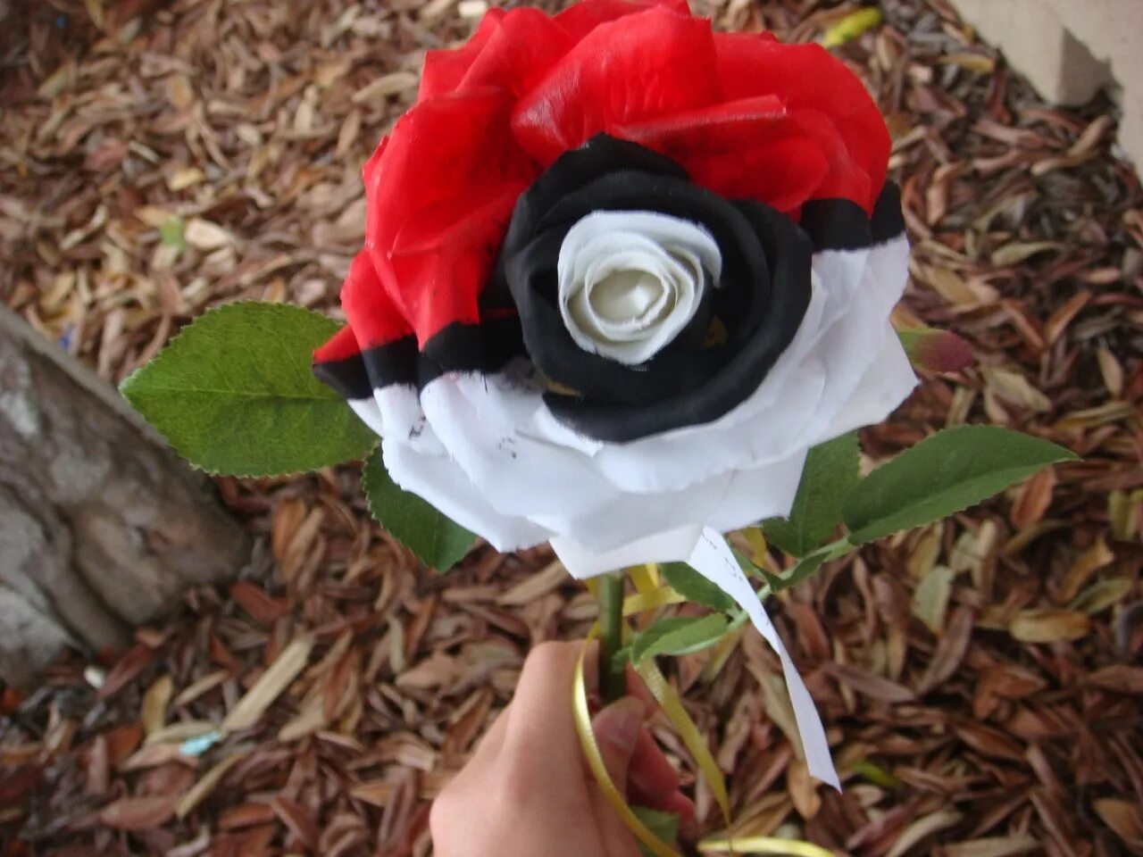 Какого цвета могут быть розы. Роза black-baccara. роза блэк перл. розы необычного цвета. редкие розы.