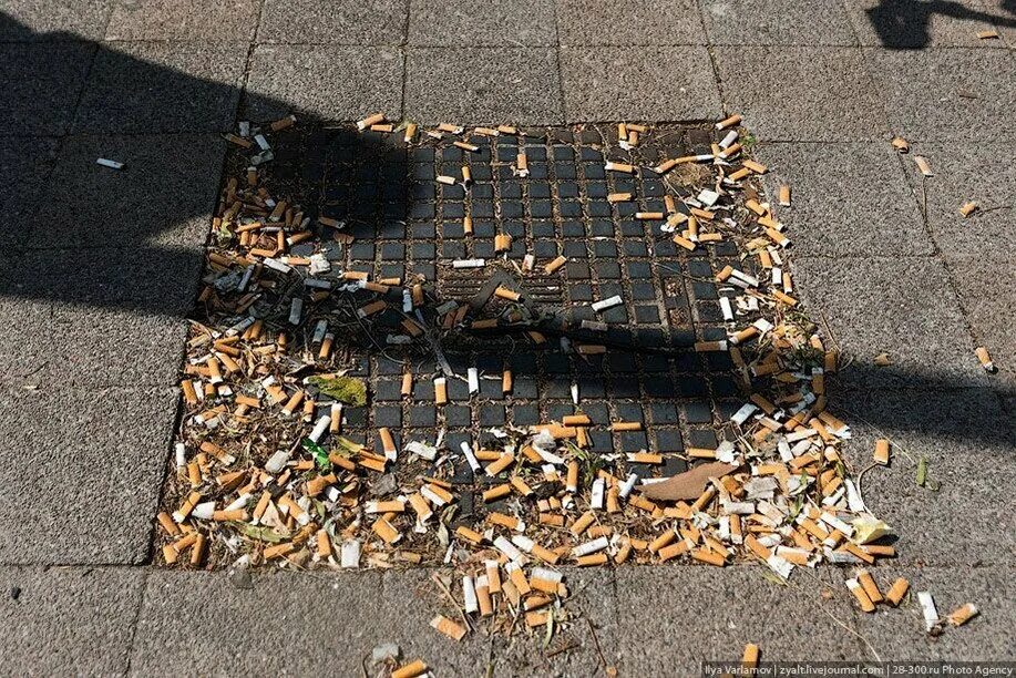 Мусорите на улице. Окурки на улице. Окурки от сигарет на улице.