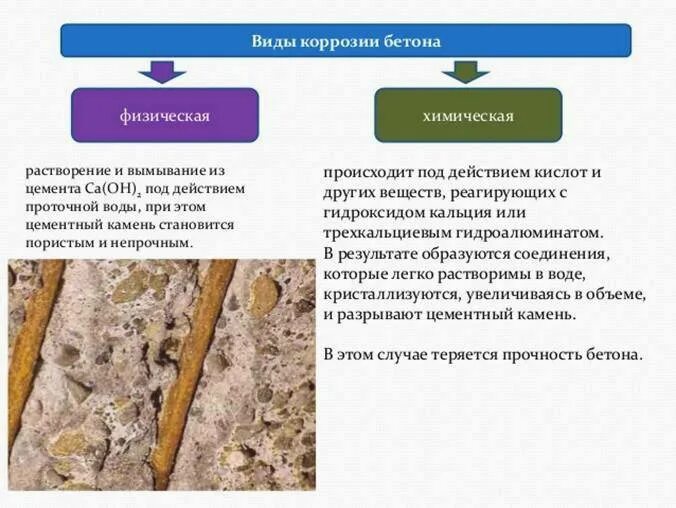 Коррозия цементного камня 3 вида. Стойкость бетонов. Стойкость бетонов. Стойкость бетонов. Биокоррозия железобетона.