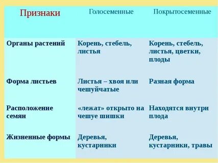 Основные признаки голосеменных растений 7 класс