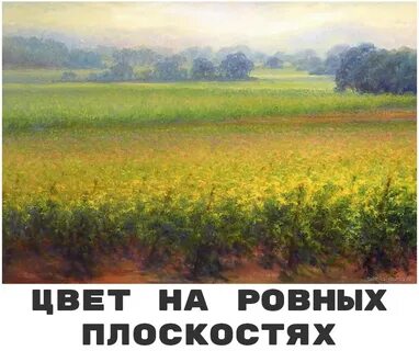 Отчетливо светло