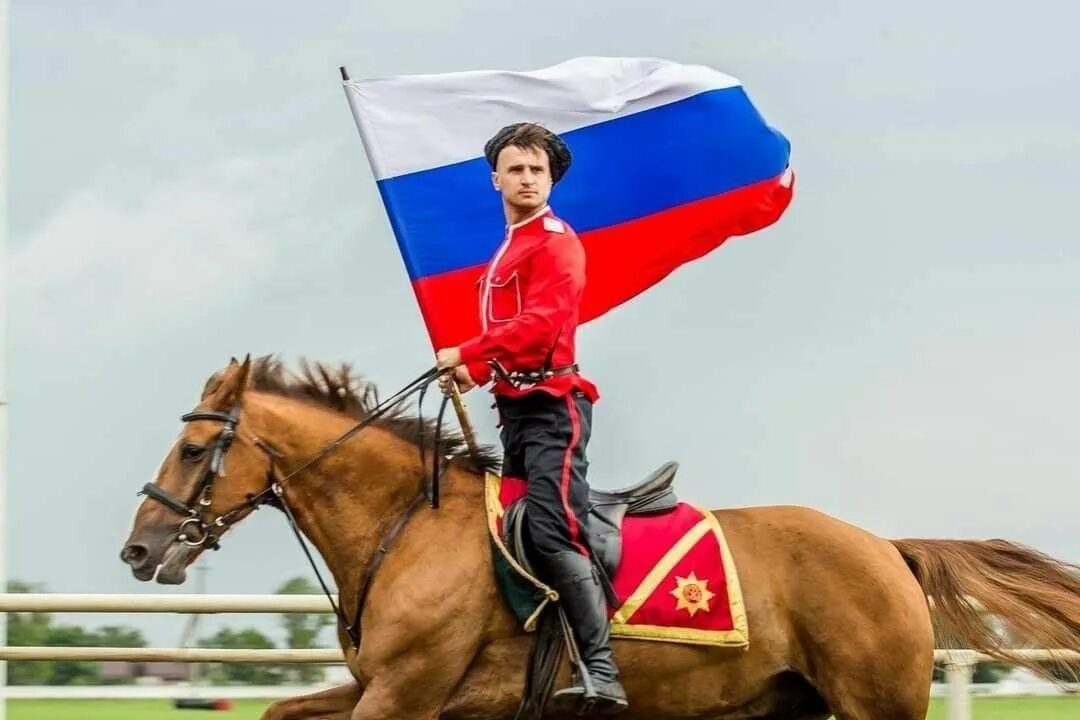 Честь на кону