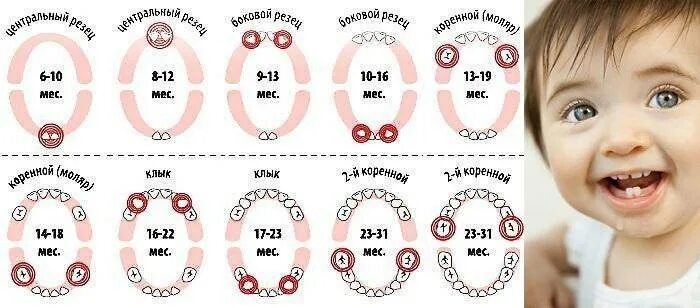 Режутся зубы 2 года