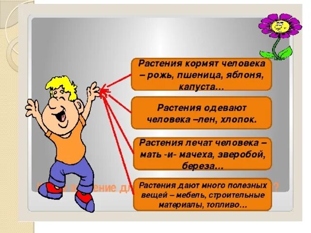 Растения которые одевают