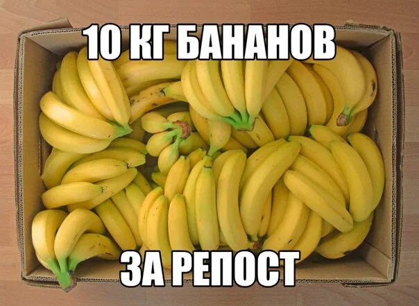 Килограмм бананов. Бананы 10 кг. Продаю бананы. Культурный банан. Бананы людей шучу не бананы