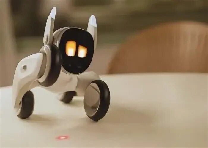 Loona robot. Loona robot