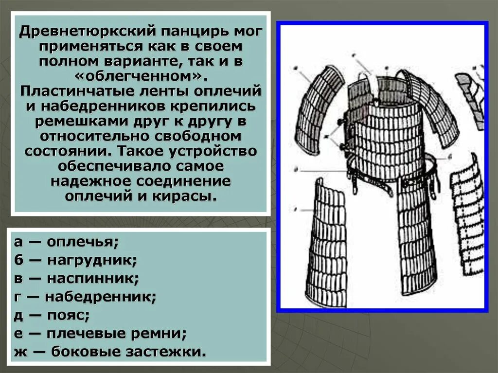 Панцирь корень