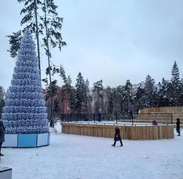 Пестовский парк балашиха. Пестовский парк каток. Работа катка в пестовском парке. Пятигорский каток в парке кирова. Каток в балашихе в парке.