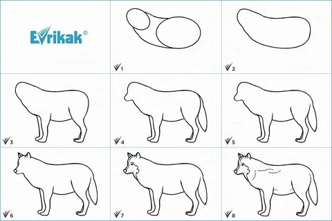 Как нарисовать волка поэтапно карандашом для начинающих (67 фото) .