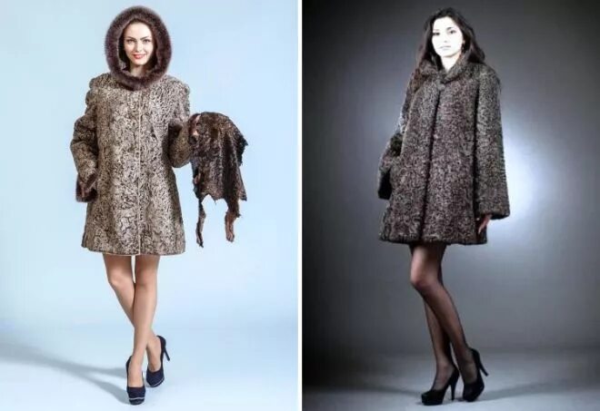 Золотое руно из каракуля шуба. Полушубок из каракуля 5051 сагитта. Роберто шуба пятигорской фабрики. Фабрика меха из каракуля бухара. Пальто из каракуля для полных.