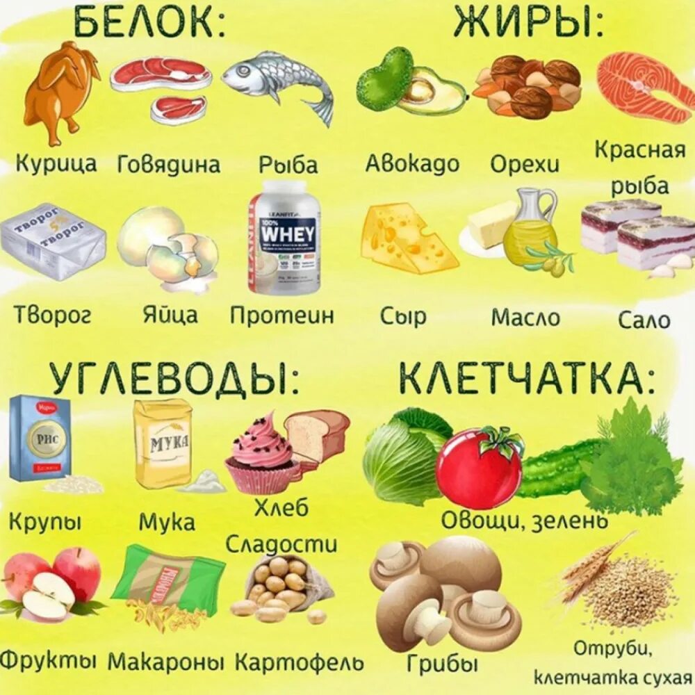 Сало углеводы жиры. Продукты. белки жиры углеводы. белки жиры углеводы клетчатка в продуктах. белки жиры углеводы клетчатка.