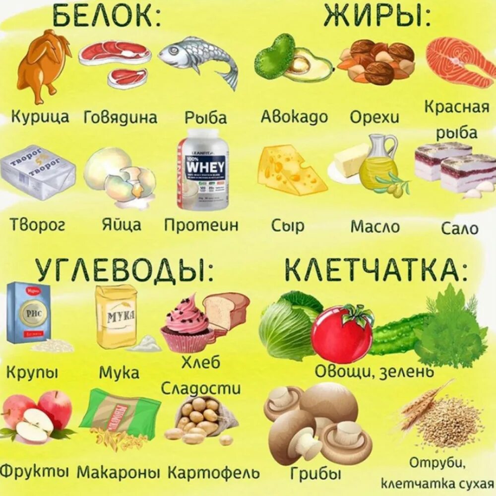 Белки жиры углеводы клетчатка. Продукты. Белки жиры углеводы клетчатка в продуктах. Белок углеводы жиры клетчатка. Грибы это белки или клетчатка