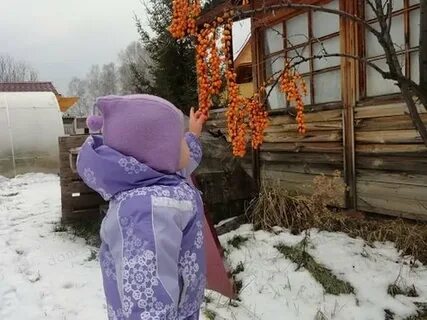 Закрыть дачу на зиму