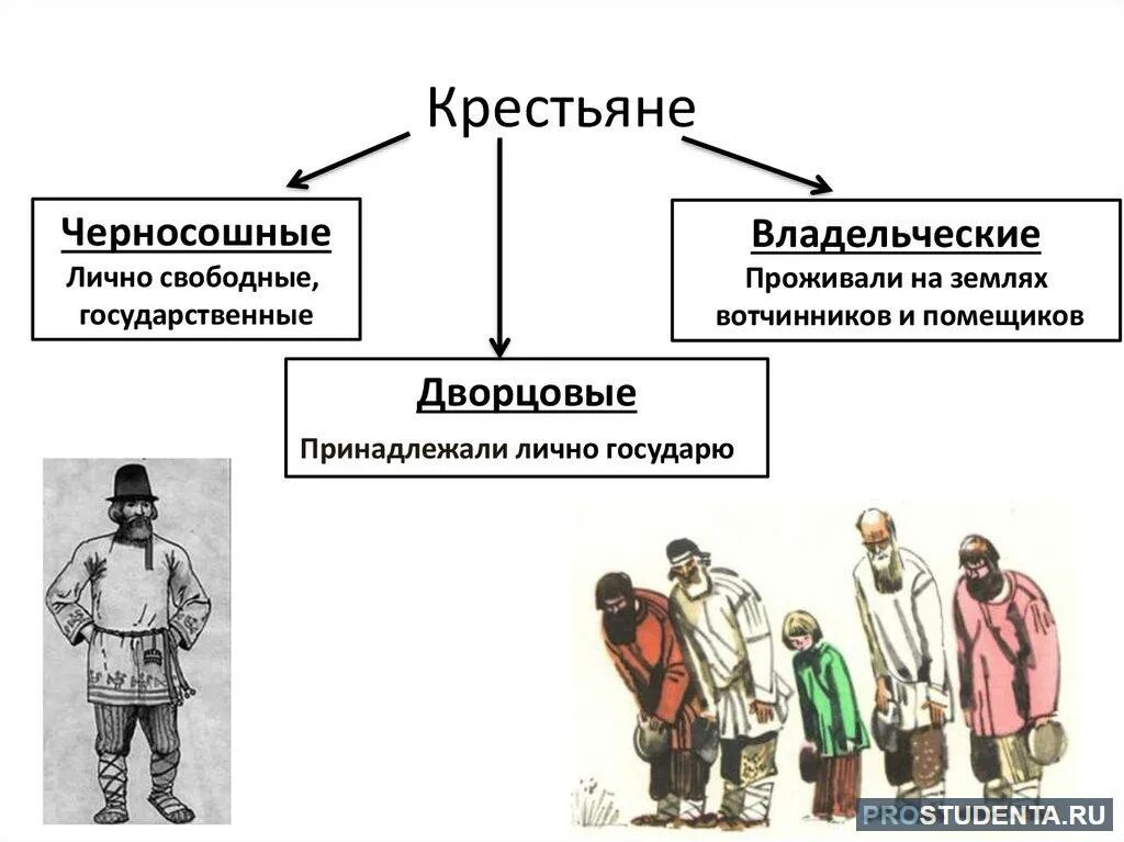 Численность общины. Владельческие крестьяне в 16 веке Россия. Черносошные крестьяне в 16 веке. Черносошные крестьяне и владельческие крестьяне. Состав крестьян в России в XVI В схема.