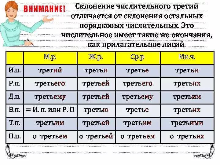 Третье или третее как правильно. Числительное склонение по падежам. Склоняем числительные по падежам. Третье склонение числительных. Падежи числительных.