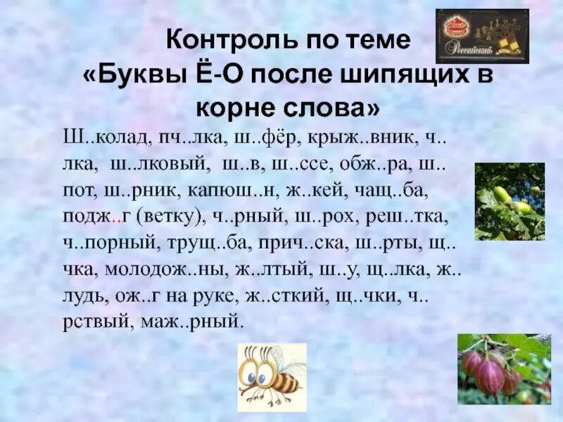 Контроль по теме буквы после шипящих. Буквы о ё после шипящих в корне слова. Слова на лка. Ш..ссе. Ясный корень слова