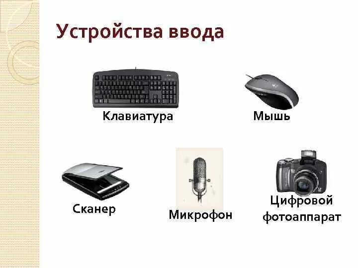 Клавиатура мышь графический планшет сканер цифровая камера микрофон. Устройства ввода компьютера. Устройства ввода клавиатура. Название устройства ввода информации.