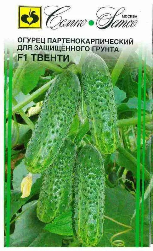 Огурцы партенокарпические сорта для открытого грунта