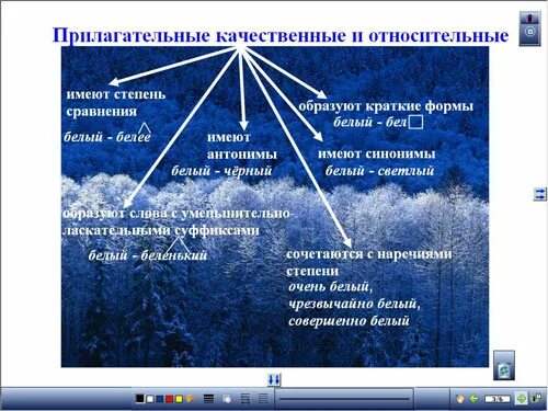 Качественное прилагательное в значении относительного. Качественные и относительные прилагательные. Кластер относительные прилагательные. Кластер качественные прилагательные. Относительные и качественные прилагательные кластер.