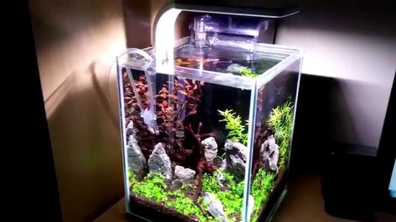 Aquael plant. Аквариум Aquael Shrimp Set Smart Plant 20. Aquael Shrimp Set 10. Аквариум Aquael 20l. Аквариум Aquael 10 литров.