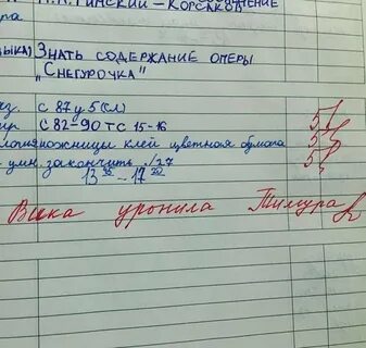 Школьник без мата