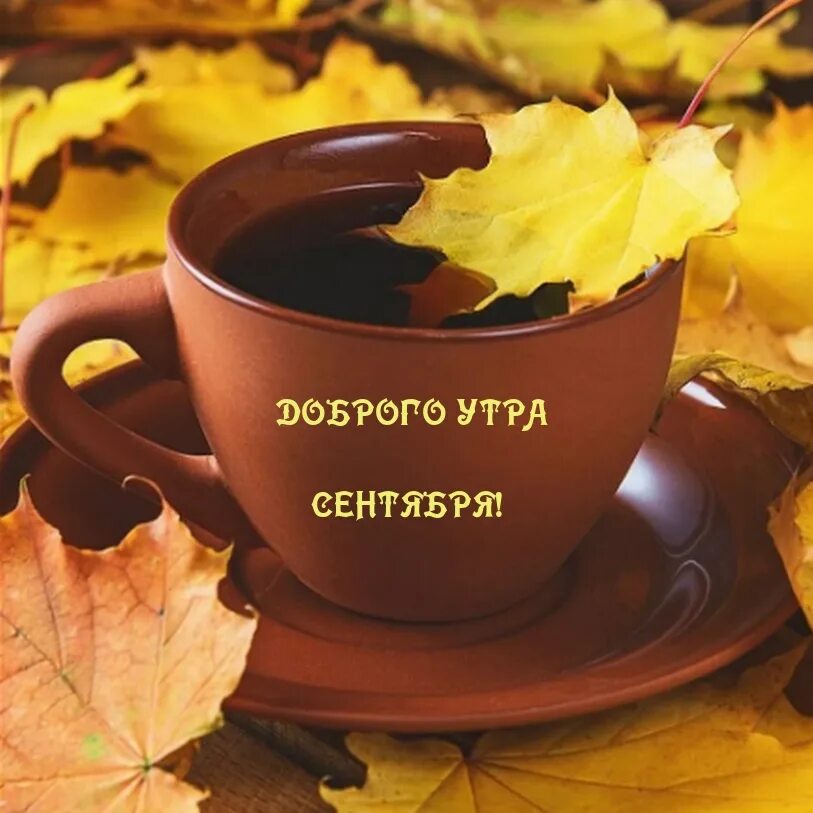 Доброе утречко осень сентябрь