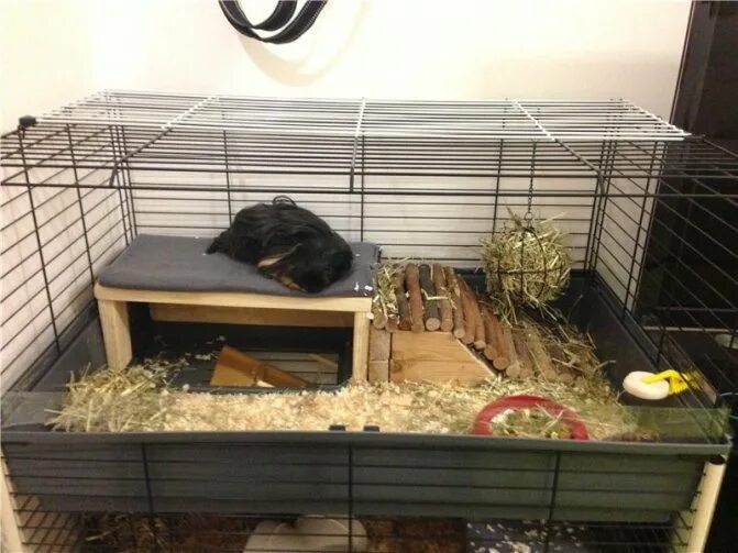 Marchioro Tommy Quality Plastic Small Animal Cage - 2028107200938 Small animal c