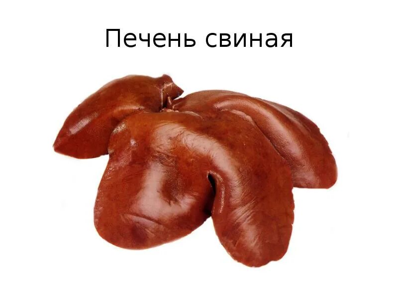 Печень 4 животных