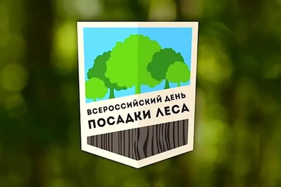 Всемирный день посадки леса. Всероссийский день леса. 14 мая всероссийский день посадки леса. Всероссийский день посадки леса открытка. Всероссийский день посадки леса картинки.