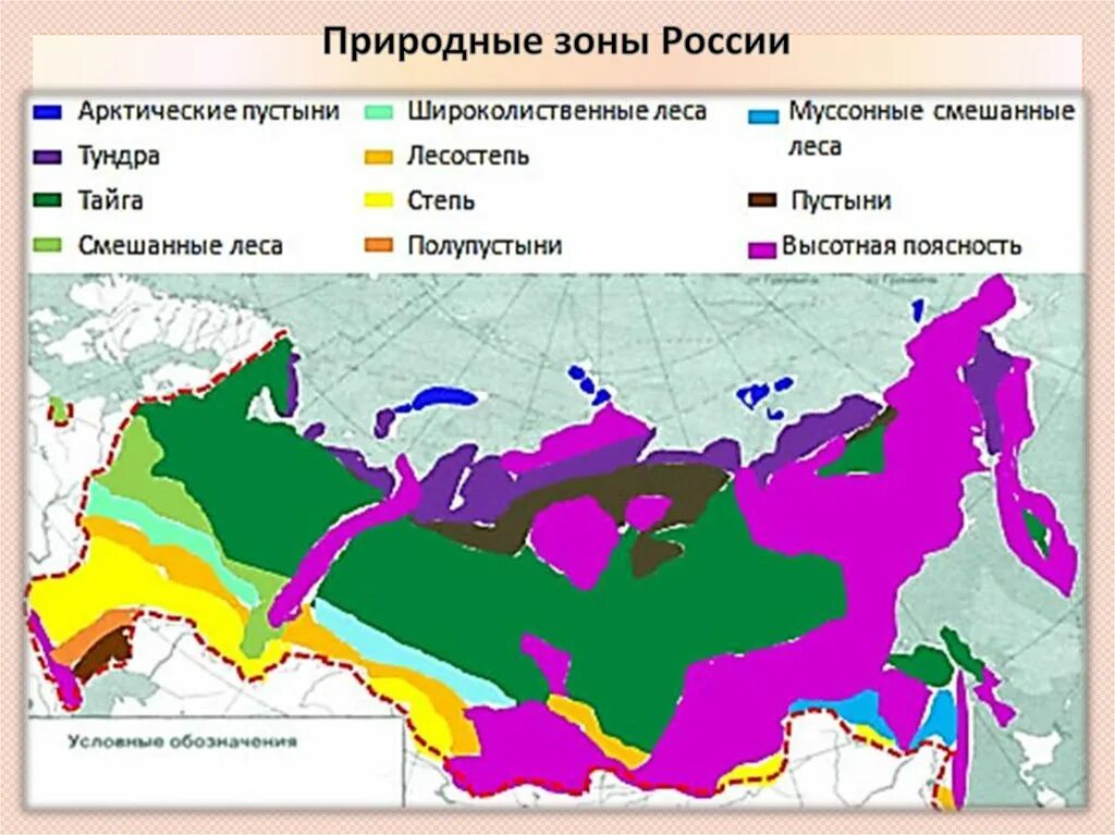 Природные зоны россии конспект урока 4 класс. Географическая карта России с природными зонами. Карта природных зон России субтропики. Природные зоны и подзоны России. Зона леса на карте России.