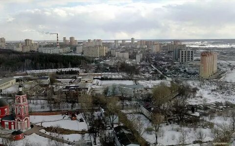 Лыткарино свежие