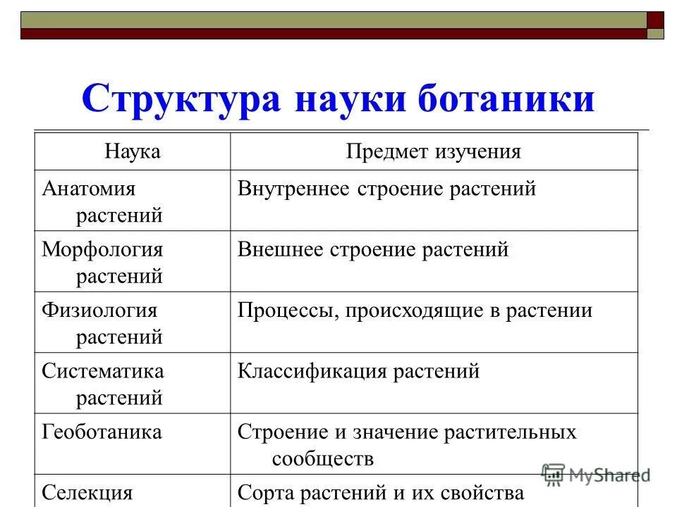 Ботанические науки 6 класс биология. Науки изучающие ботанику. Значение ботаники 6 класс. Систематика растений ее значение для ботаники. Ботаника систематика растений.