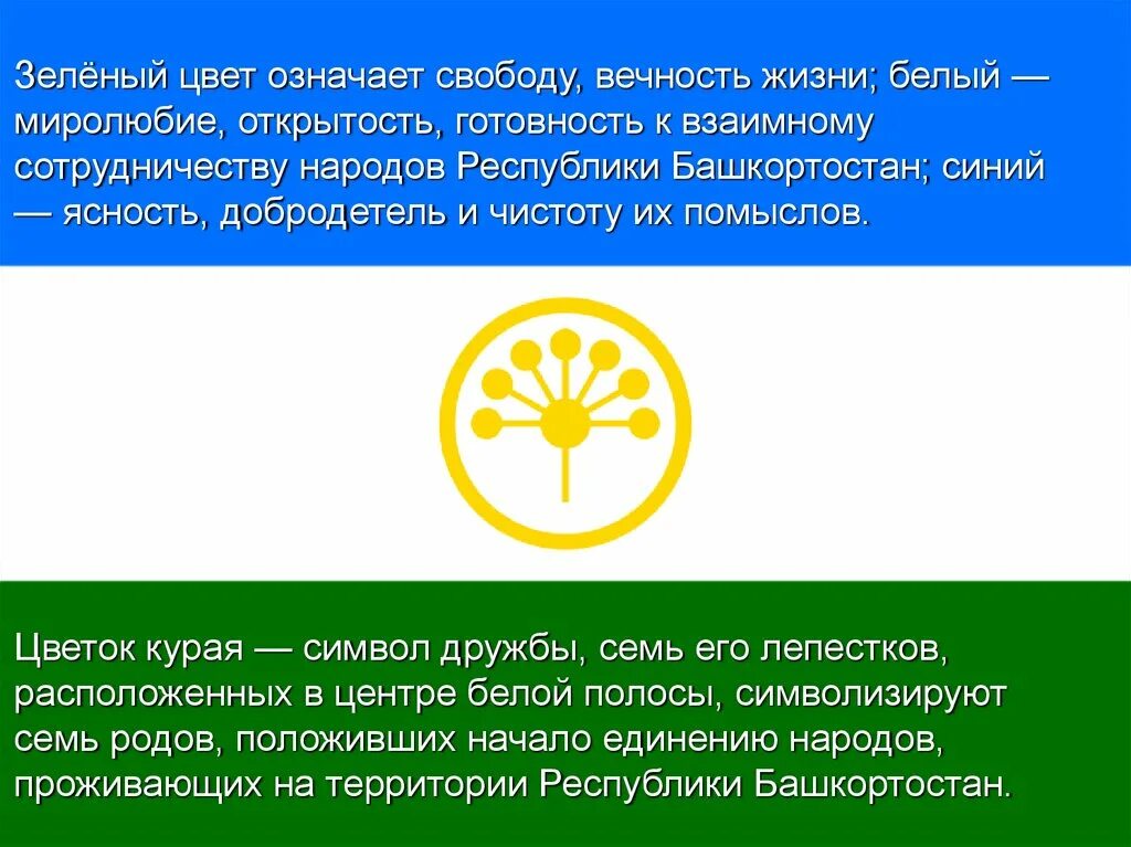 Цветок курая символ. Что означает цветок курая. Что означает цветок курая. Курай символ башкортостана. Курай символ башкортостана.
