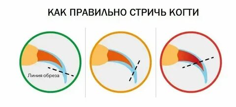 Какие дни стричь ногти в октябре 2024