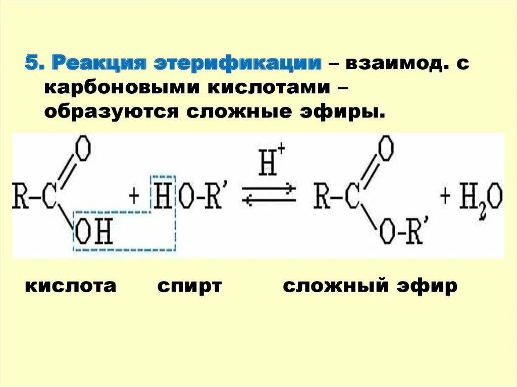 Взаимодействие уксусной кислоты со спиртами. Кислородсодержащие соединения глицерина. Кислородсодержащие вещества углеводы. Кислородсодержащие органические соединения 9 класс презентация. Кислородсодержащие органические вещества.