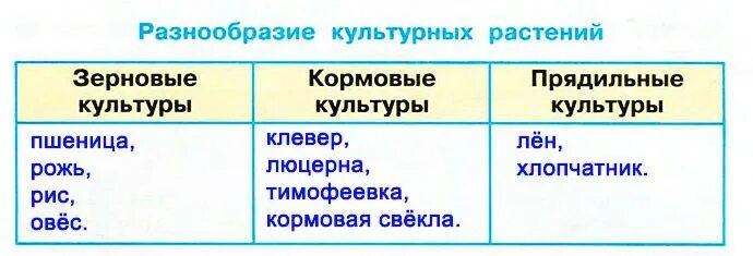 Люцерна лен кормовая свекла пшеница хлопчатник рожь. Три группы культурных растений 3 класс. Группы культурных растений 3 класс. С помощью учебника впиши в таблицу на с 33 примеры. Какие еще группы культурных растений ты знаешь.