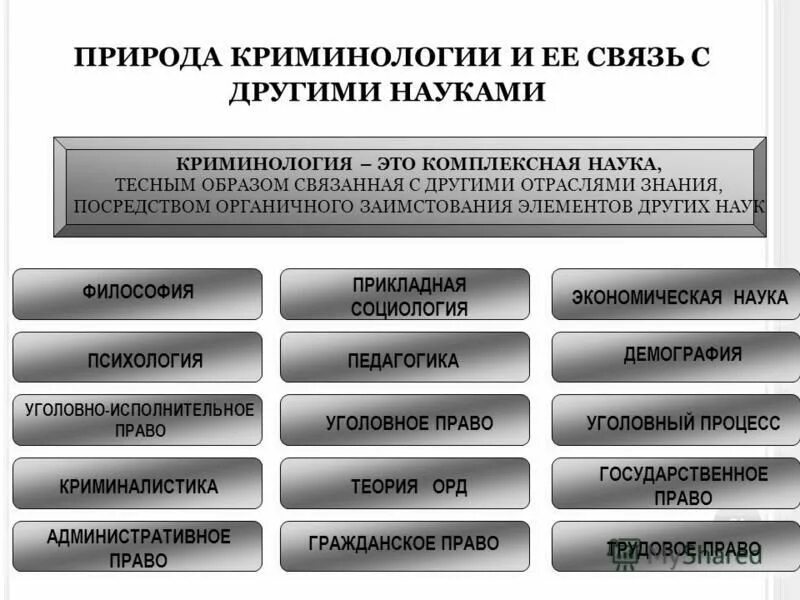 Содержание криминологии как науки. Схема связи криминологии с юридическими и другими науками. связь криминологии с другими науками. связь криминологии с юридическими науками. место криминологии в системе юридических наук схема.
