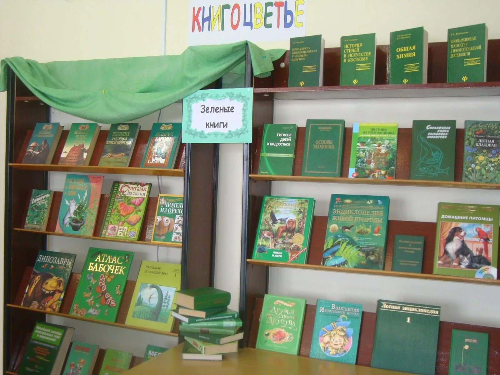 красивые книжные выставки. книжные выставки в библиотеке. креативные книжные выставки. тематическая книжная выставка. необычные книжные выставки.