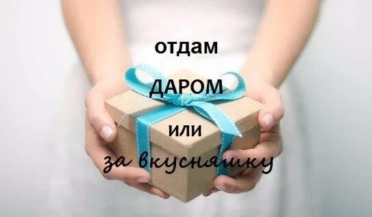 Реклама ирбитского. Даром ирбит. Даром ирбит. Реклама ирбитского. Ярмарка 2000 ирбит.