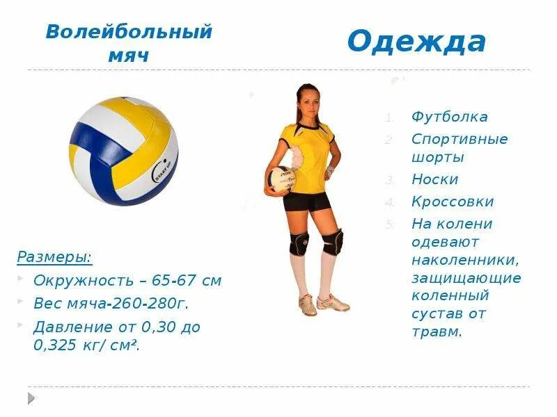 Вес мяча в волейболе. Вес мяча в волейболе