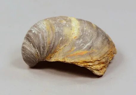 55 71