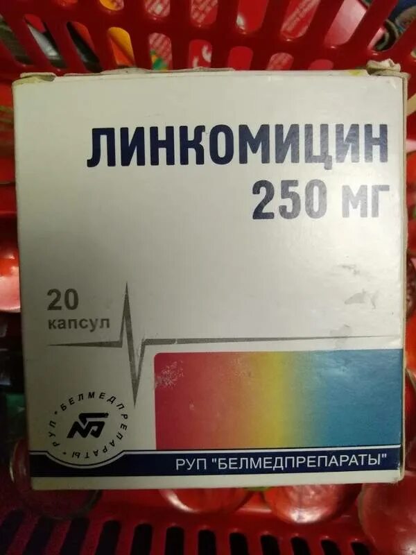 Линкомицин капсулы 500. Линкомицин капсулы 250 мг, 20 шт. Белмедпрепараты. Линкомицин капс., 250 мг, 20 шт.. Линкомицин капсулы 250мг 20шт. Цена уколов линкомицин