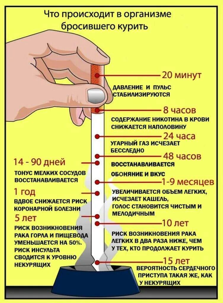 Сколько нужно чтобы никотин вышел из организма