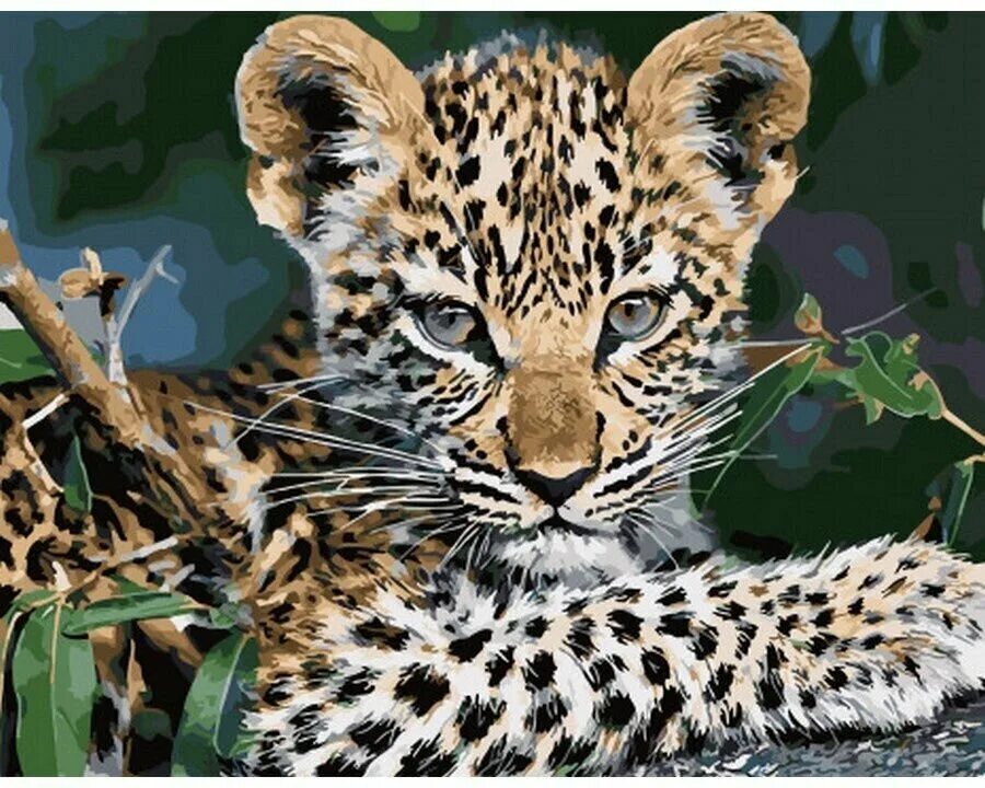 Лев макросъемка. Дикие кошки. Львята фото. Красивые дикие кошки. Леопард.