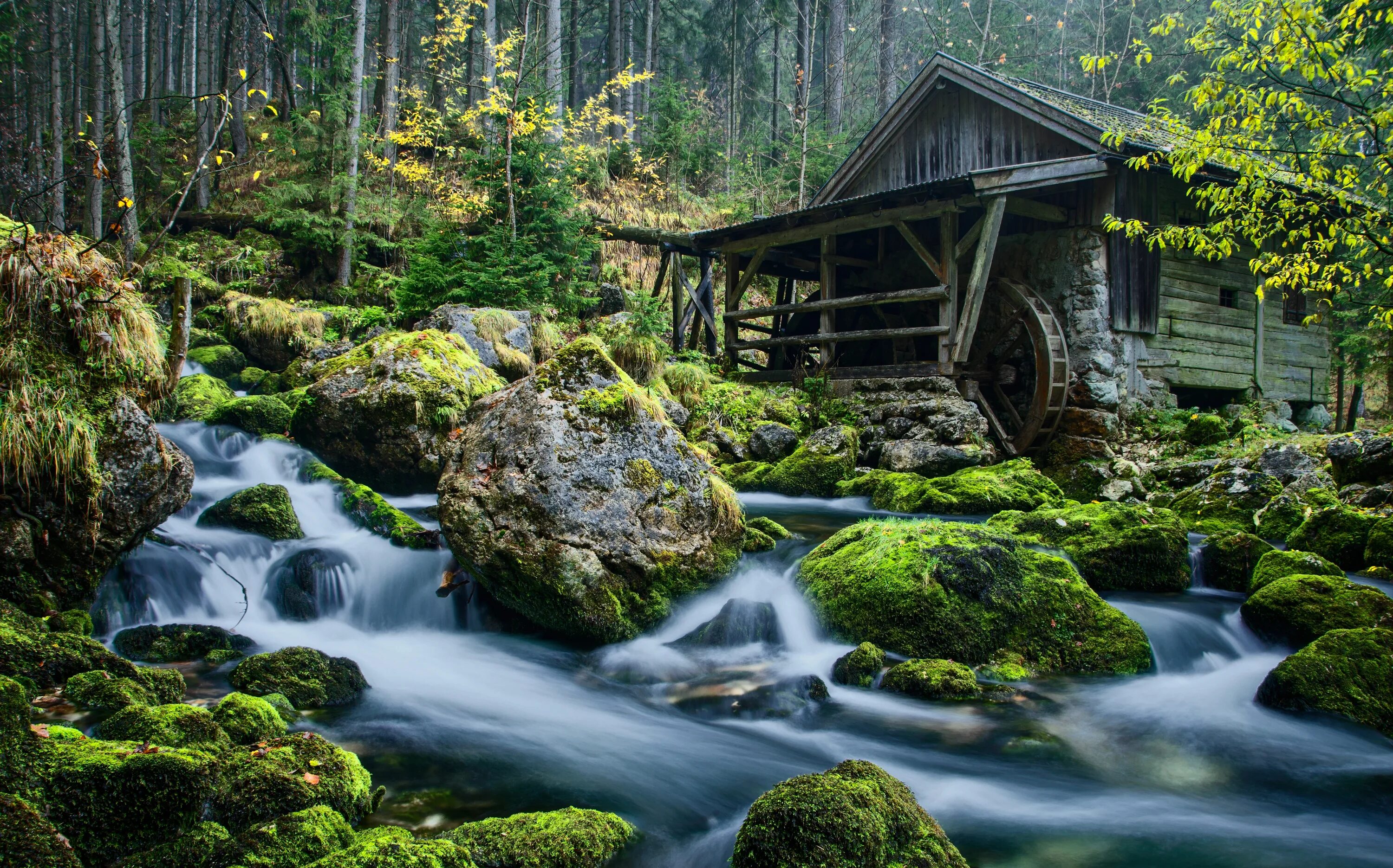 Заставка на телефон для женщин природа. Красивая природа. Красивые пейзажи на рабочий стол. Фотообои природа.